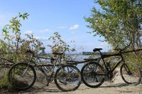 bicycles-4502711__340