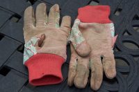 gloves-2445175_640