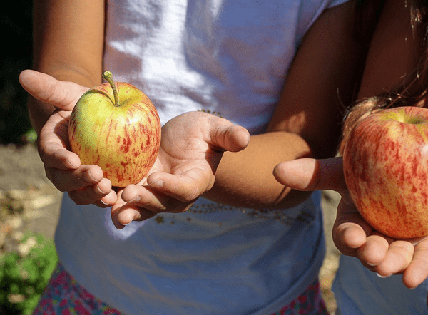 Fall Festival in Cass County