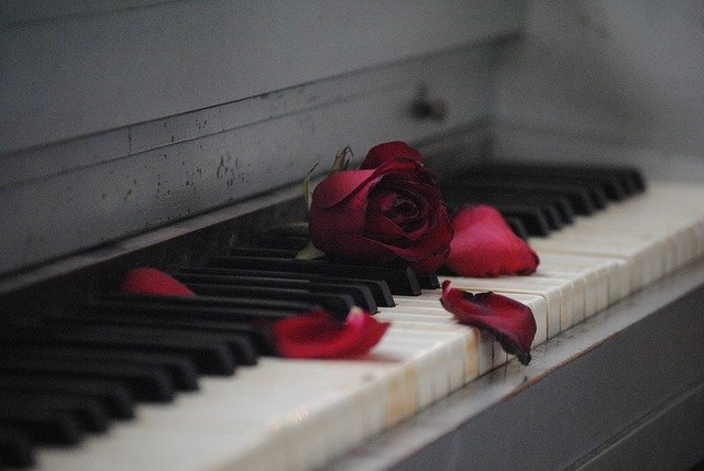 piano-rose_640