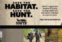 nwtf_feat