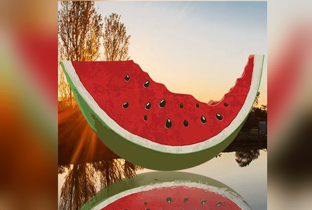 greatwatermelon
