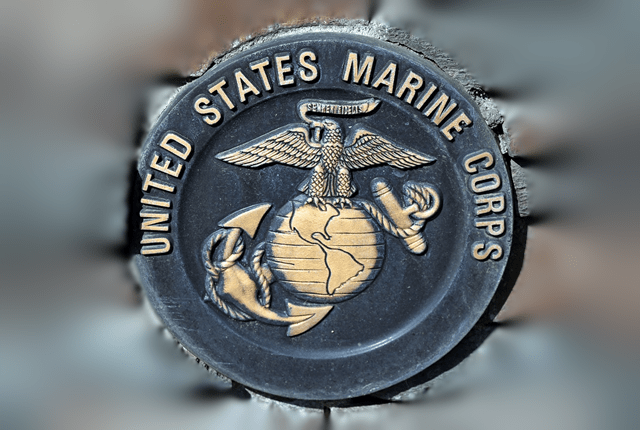 Celebrate The Marine S 245 Birthday Oorah Videos 103 9 The Pig