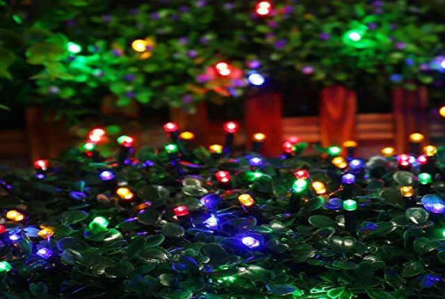 Enchanted Forest Lighting in Jefferson