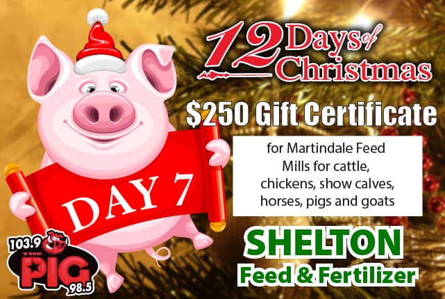 12-days-640x430-07