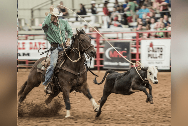 Four States Rodeo and Midway