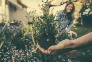 gardening