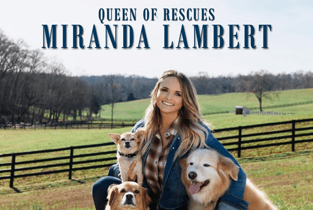 queenofrescue