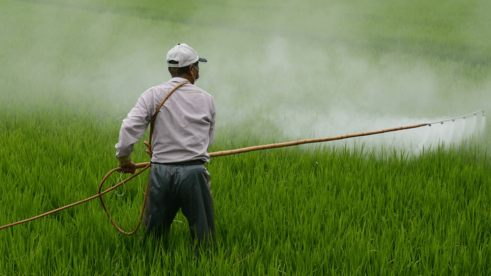 Miller County Pesticide Collection Event