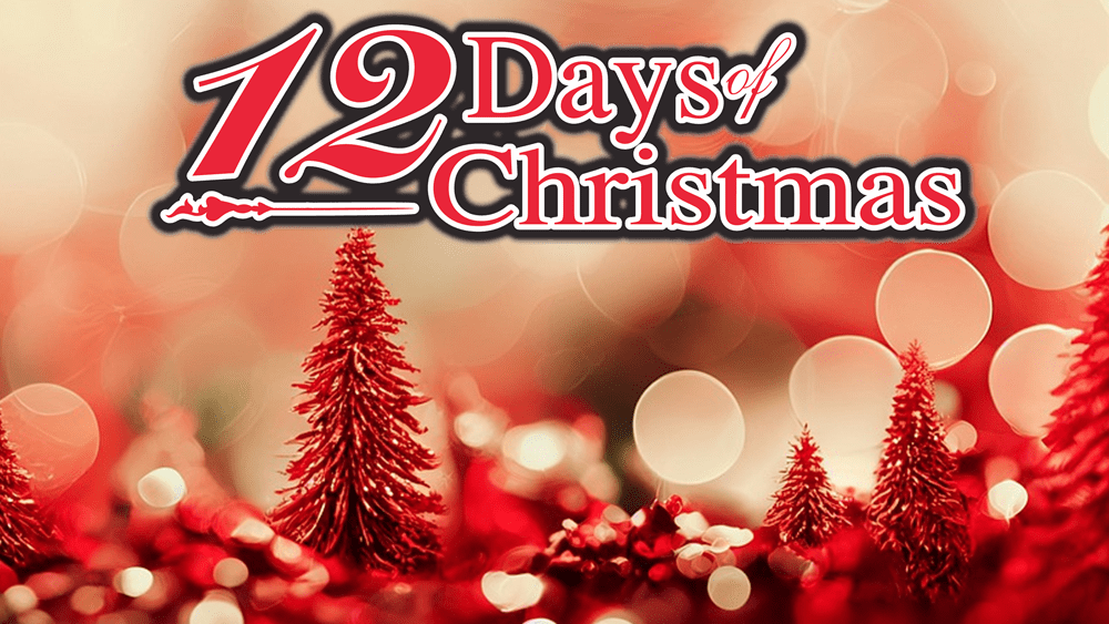12-days-of-christmas-2
