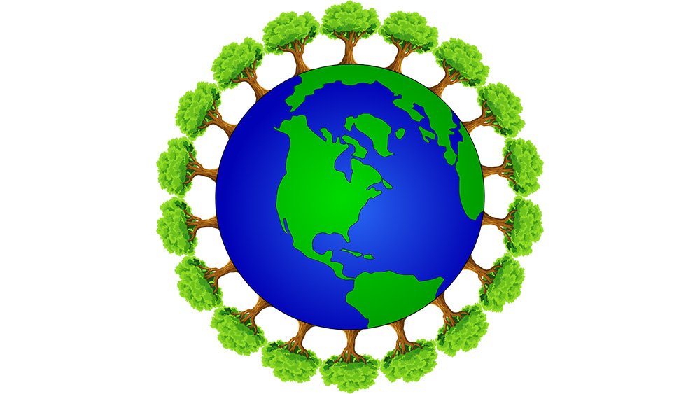 Arbor Day Tree Giveaway