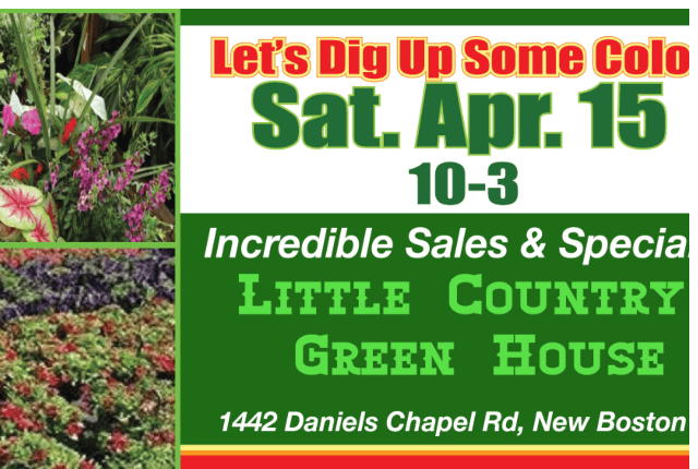 Join The Pig at The Little Country Greenhouse