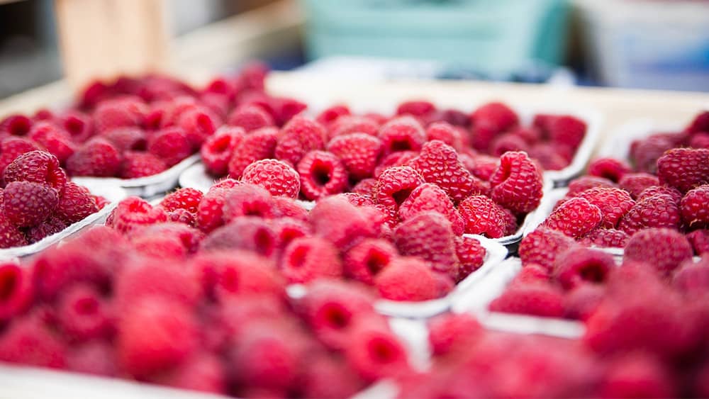 Texarkana Farmers Market Season Begins