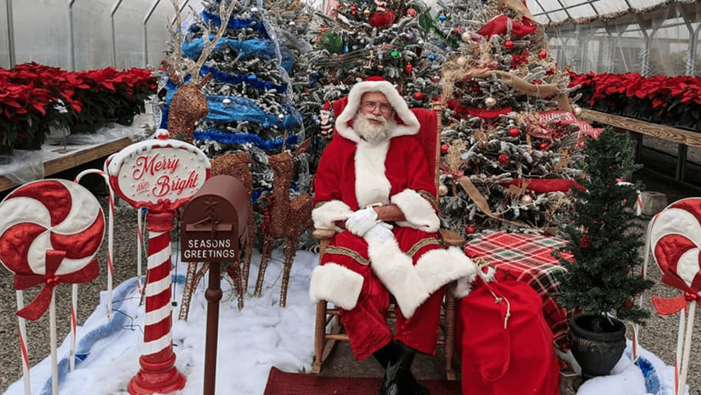 Santa Comes To Town