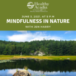 mindfulness-in-nature-ig