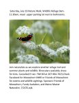 july-nature-walk2025