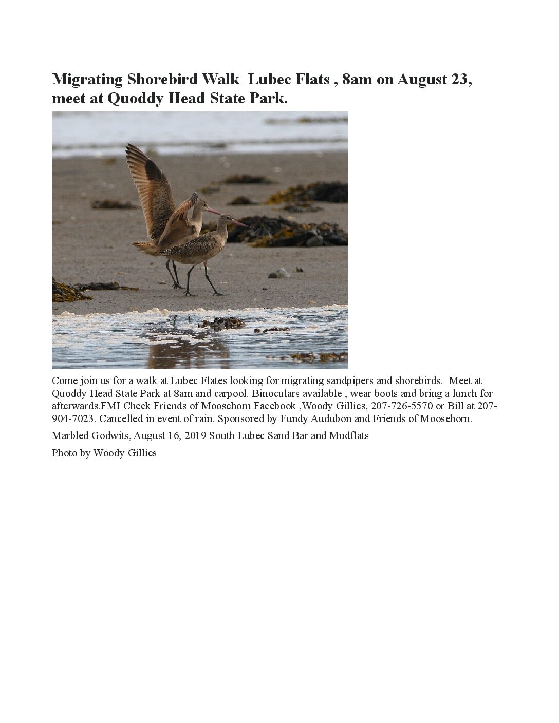 fundy-audubon-field-event-flyer-1-2