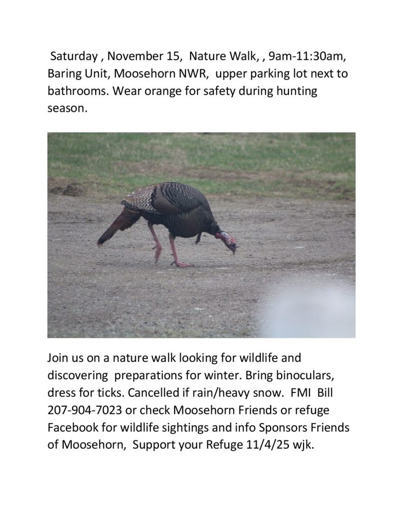 november-nature-walk-2025-baring-a-2