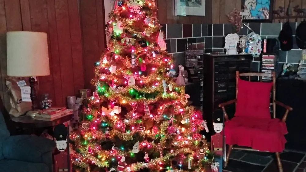 img_20251202_195418578-2