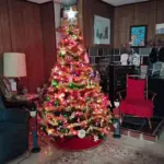 img_20251202_195418578-2