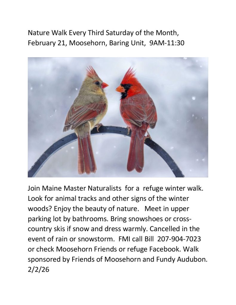 baring-feb-nature-walk-2026-2