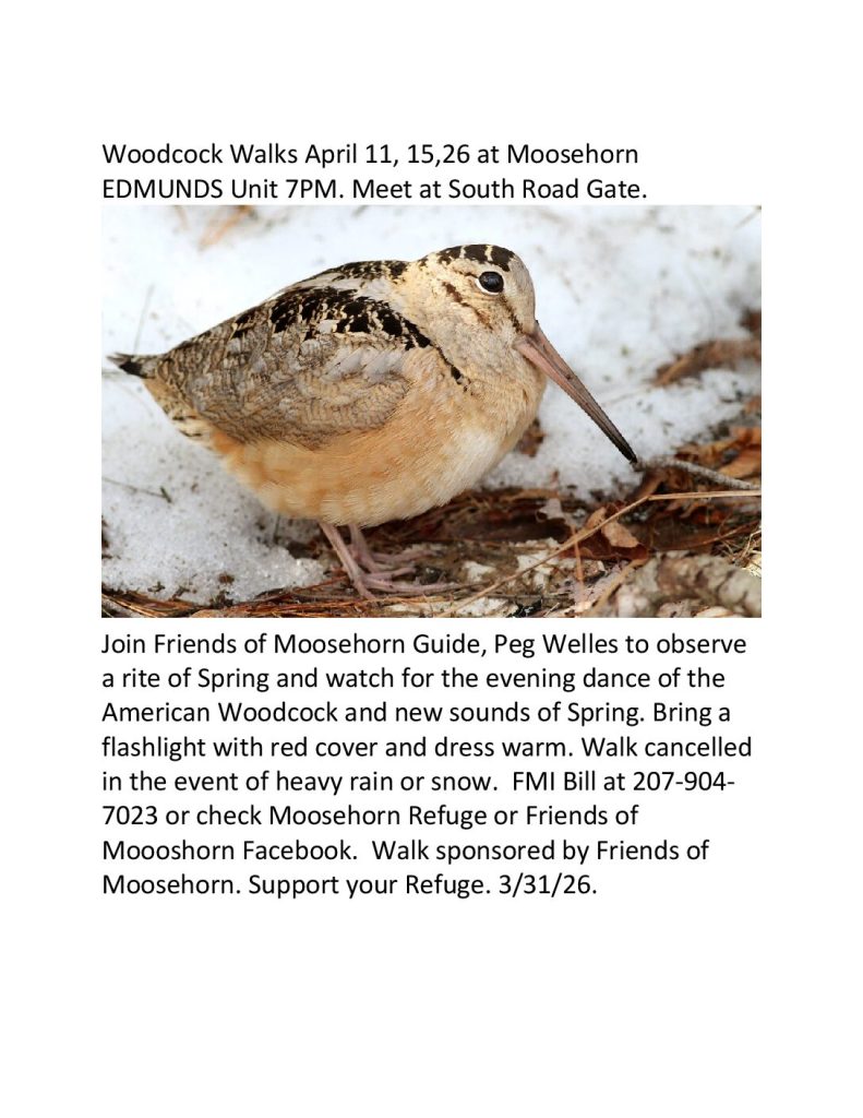 woodcock-walk-edmunds-april-2026-a-2