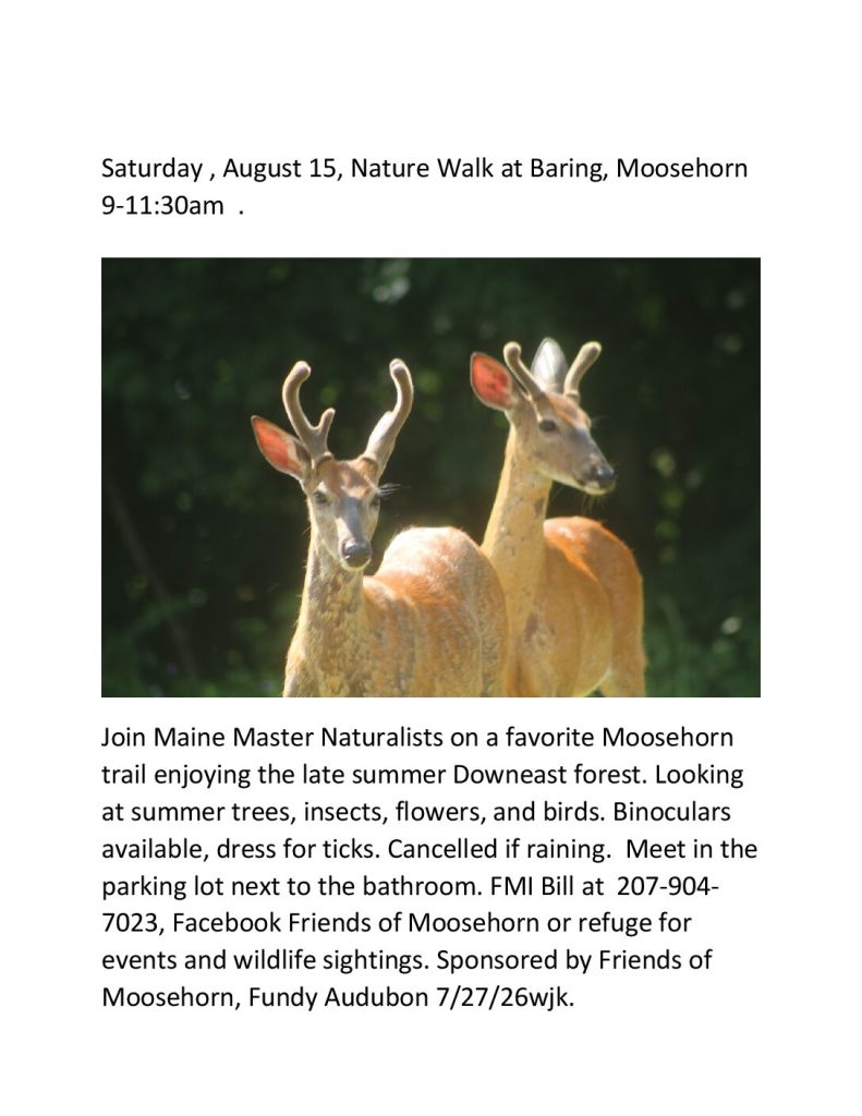 baring-august-15-nature-walk-2026-2