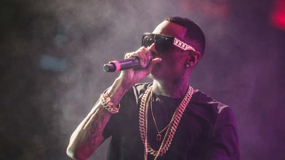 tmp5dc8f188-2f8c-4603-9288-a611a6782a7f-jpg