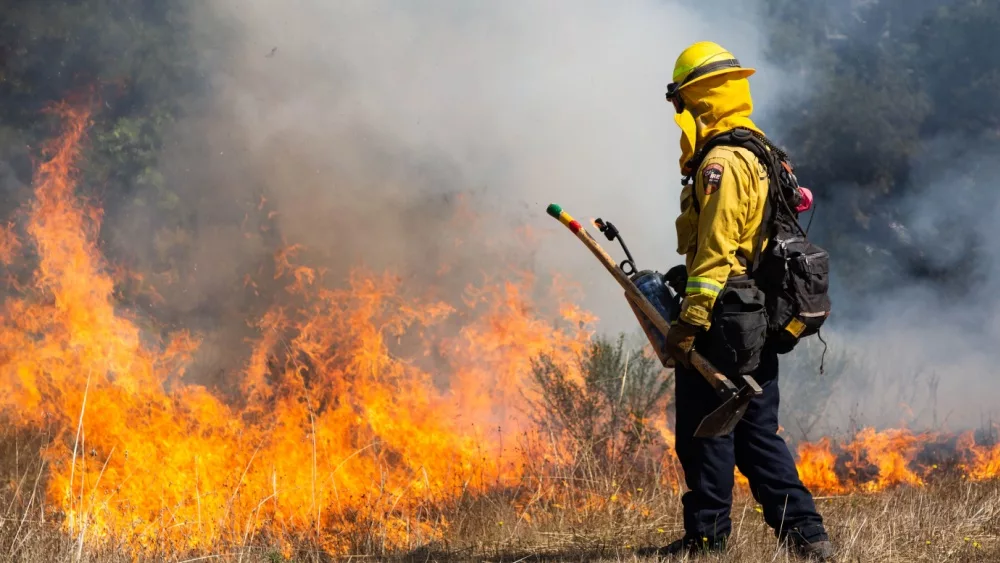 Santa Cruz, California - September 22, 2022: A firefighter uses a "drip torch" to ignite dry grass at Marshall Field as CAL FIRE firefighters conduct a beneficial control burn.