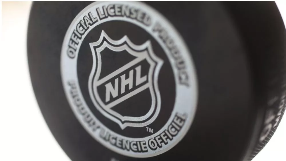 Official game puck from NHL, National hockey league, USA