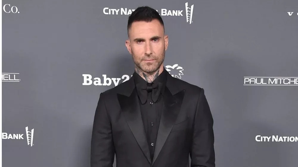See Maroon 5’s video for ‘Priceless’ featuring Lisa