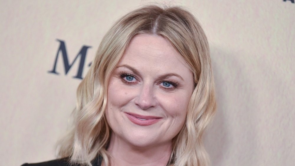 Amy Poehler’s new series ‘Dig’ sets November 23rd premiere on Peacock