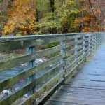 Horizontal perspective shot of suspension walking bridge over stream at Devil's Den State Park in Arkansas.
