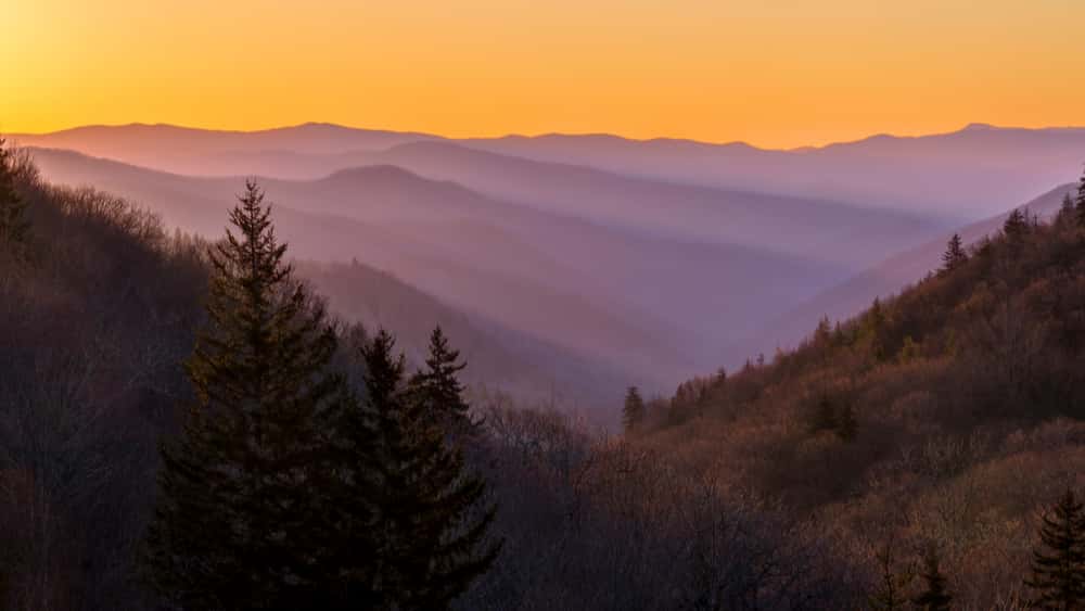 shutterstock_1306353865