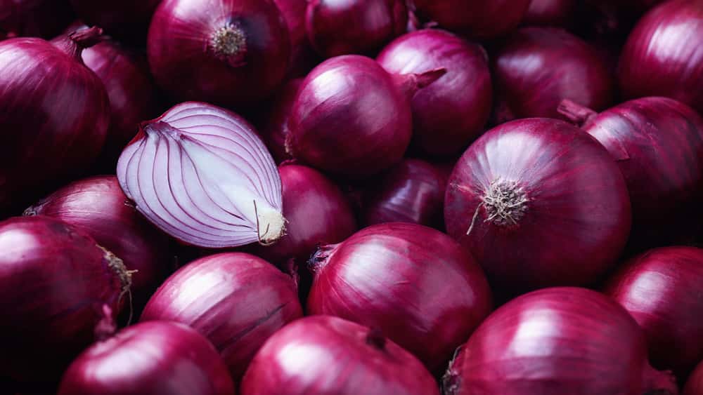 shutterstock_1284082165-1