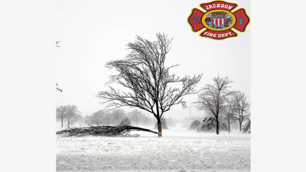 iced-trees-jfd