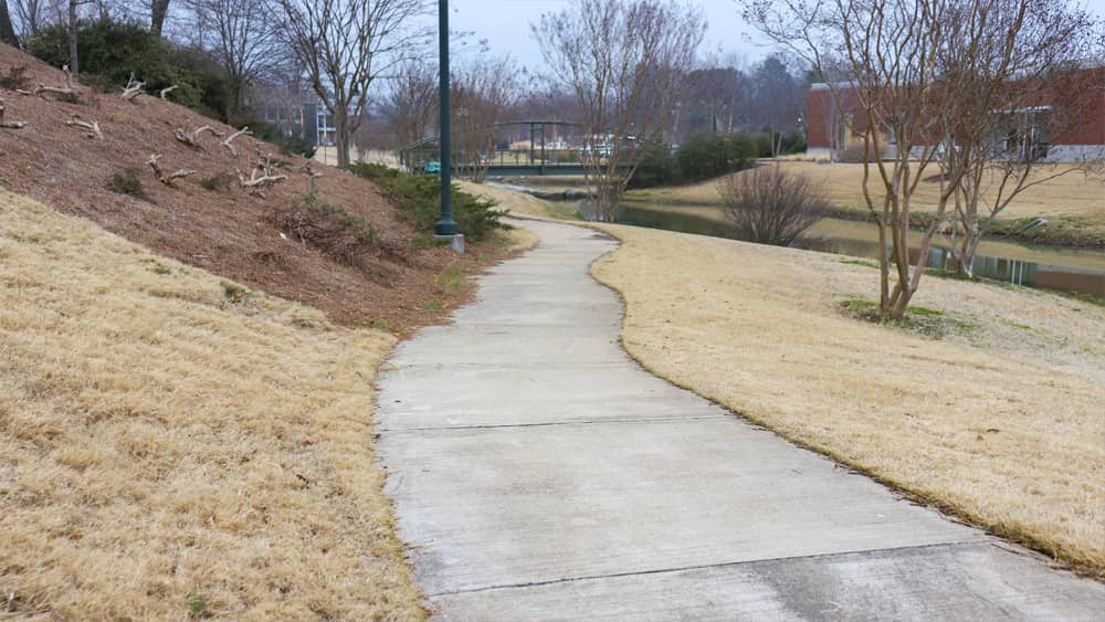 jackson-walk-walkway-1