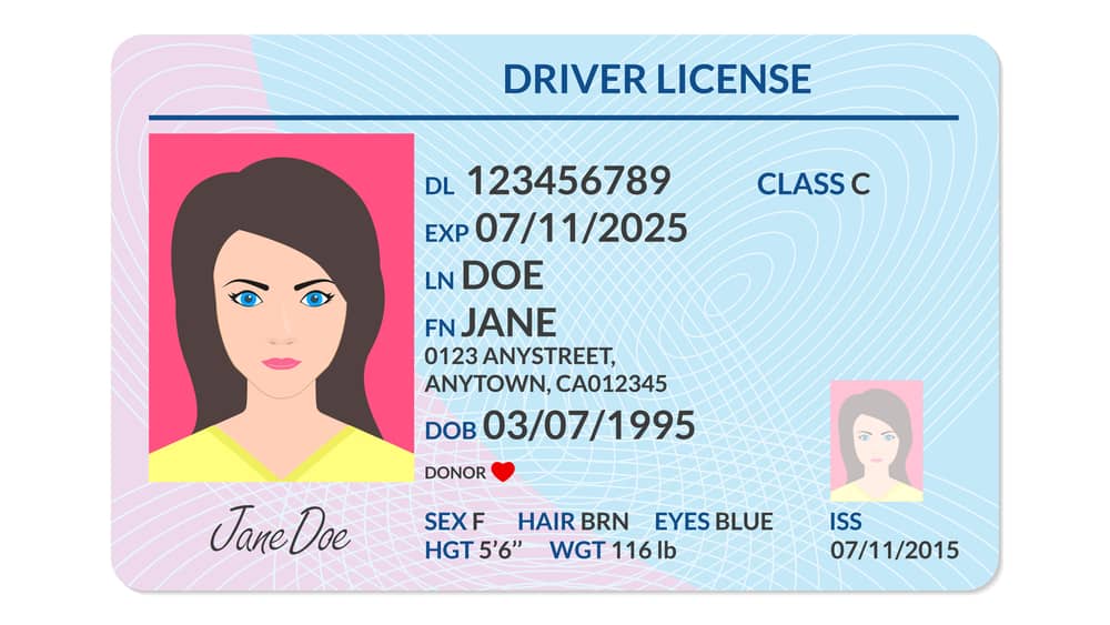 drivers-license