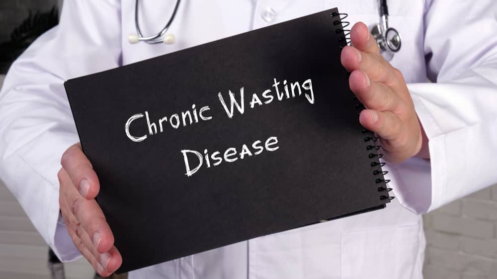 chronic-wasting-disease