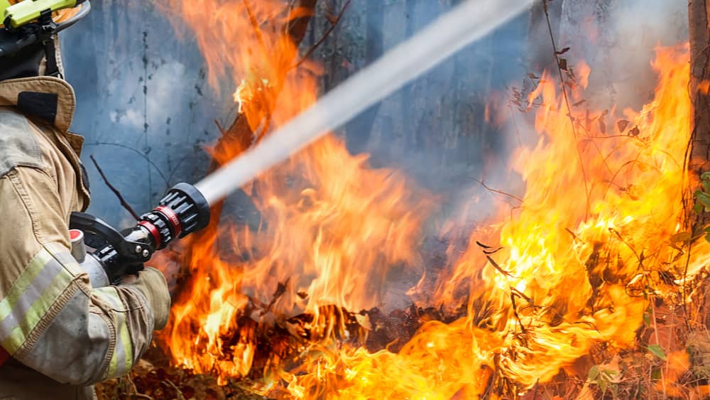 wildfire