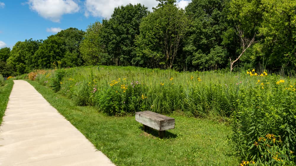 park-trail