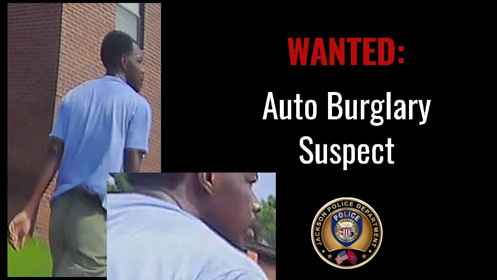 auto-burglary-suspect