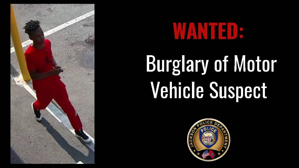 burglary-suspect