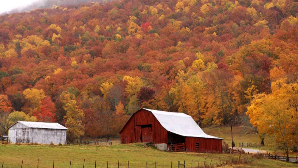 tennessee-farm
