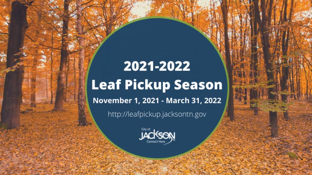 city-of-jackson-leaf-pickup-season