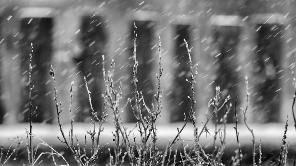 light-wintry-precipitation