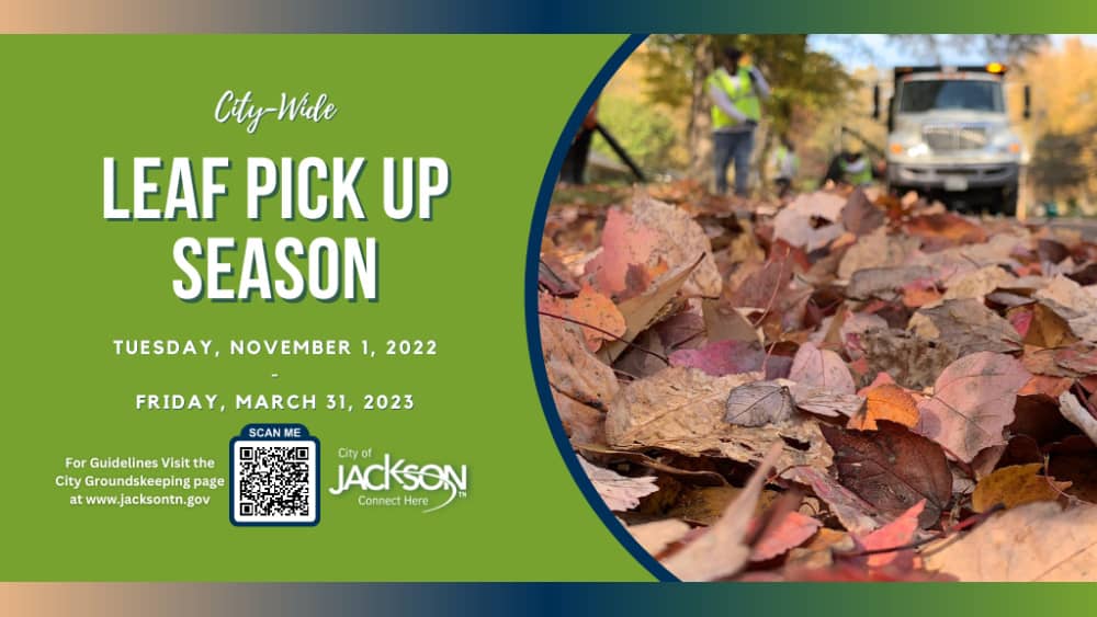leaf-pick-up-1