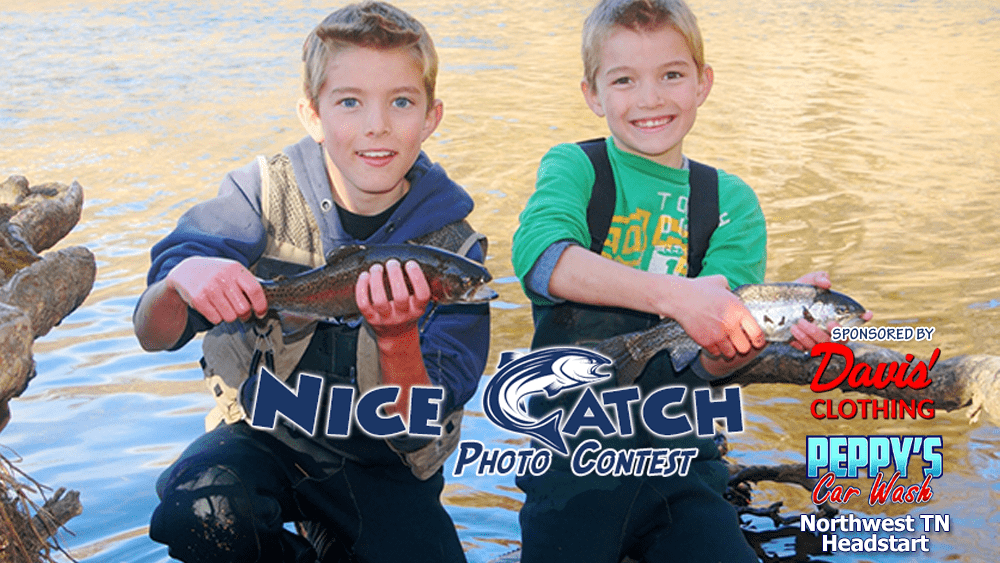 nice-catch-wsponsors-2023-1000x563