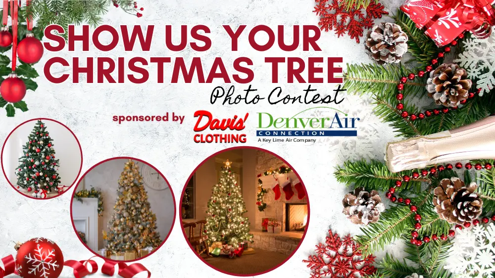 show-us-your-christmas-tree-2025