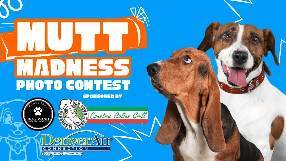 mutt-madness-2026
